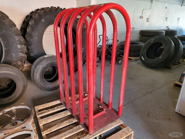 Tire safety cage